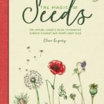 The Magic of Seeds by Clare Gogerty
