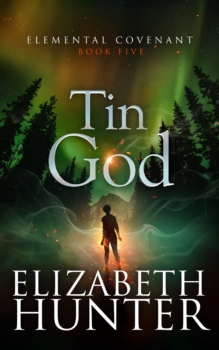 Tin God by Elizabeth Hunter (ePUB) Free Download