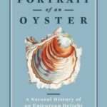 Portrait of an Oyster