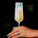 The Dinner Party by Viola van de Sandt 37754058