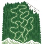 The Secret Forest Runs Deep by Joanne Cole cover