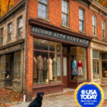 Second Acts Vintage by Dianne Harman cover (8)