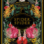 Spider, Spider by L. C. Winter cover (6)