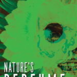 cover (2)